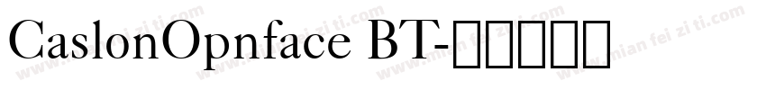CaslonOpnface BT字体转换